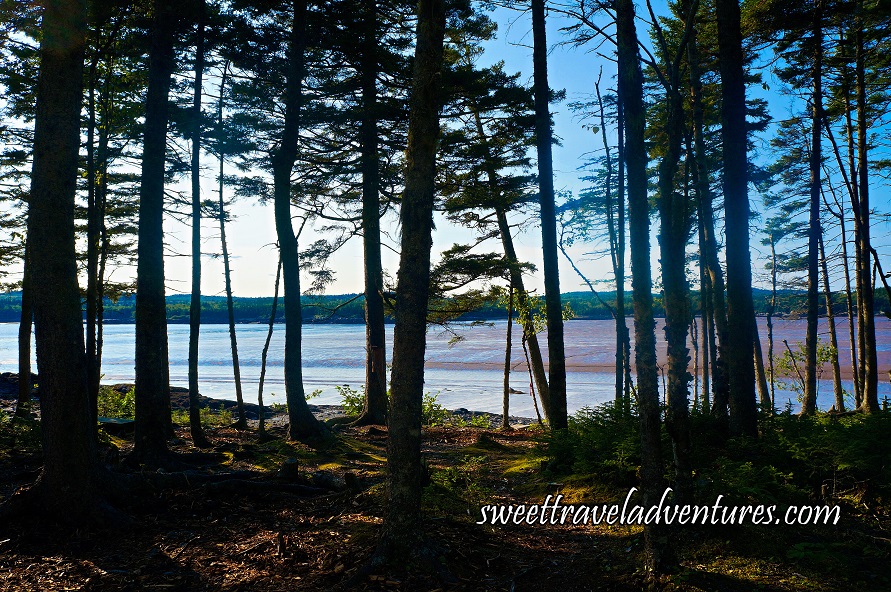 Discovering Unique Nature Parks in New Brunswick! - Sweet Travel Adventures | Adventure travel 
