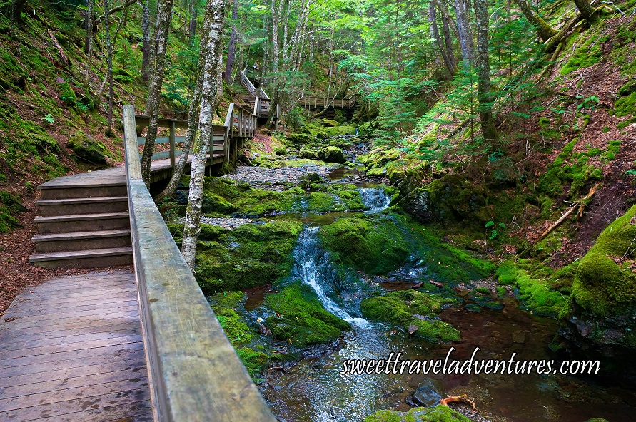 Discovering Unique Nature Parks in New Brunswick! - Sweet Travel Adventures