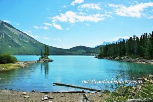 A large blue lake with a dirt shoreline in front of it and rocks and logs scattered around the shoreline but mainly to the right along with a few small green plants, two lodgepole pine tree trunks protruding into the water from the shoreline, mountains covered with evergreen trees in the background, an evergreen forest and rocky shoreline to the right, a narrow piece of land protruding into the water on the left with a tiny rocky island attached to it covered with evergreen trees, and a blue sky with fluffy white clouds