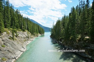 An acqua coloured river flowing through the center with a rocky shoreline and evergreen forest on both the right and left and a blue sky filled with very large white fluffy clouds