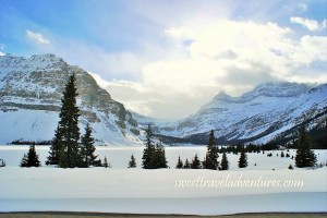 Lots of fluffy white snow and a few evergreen trees scattered around, large mountains covered in snow in the background, and a very cloudy but bright sky