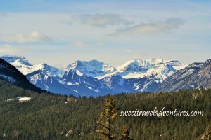 An evergreen forest in front of snow covered mountains and a very light blue cloudy sky