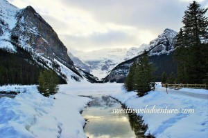 Glass like stream flowing up the center until half-way through the picture, fluffy white snow and a few evergreen trees on the right and left of the stream, a cleared walkway with a couple of benches on the right, a view-point with signage on the left, snow in the center of the picture, and large snow covered mountains in the distance