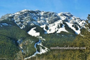 Blue sky with a large snow covered mountain with green trees cleared in some areas for ski trails