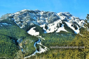 A mountain covered in snow and evergreen trees and a blue sky