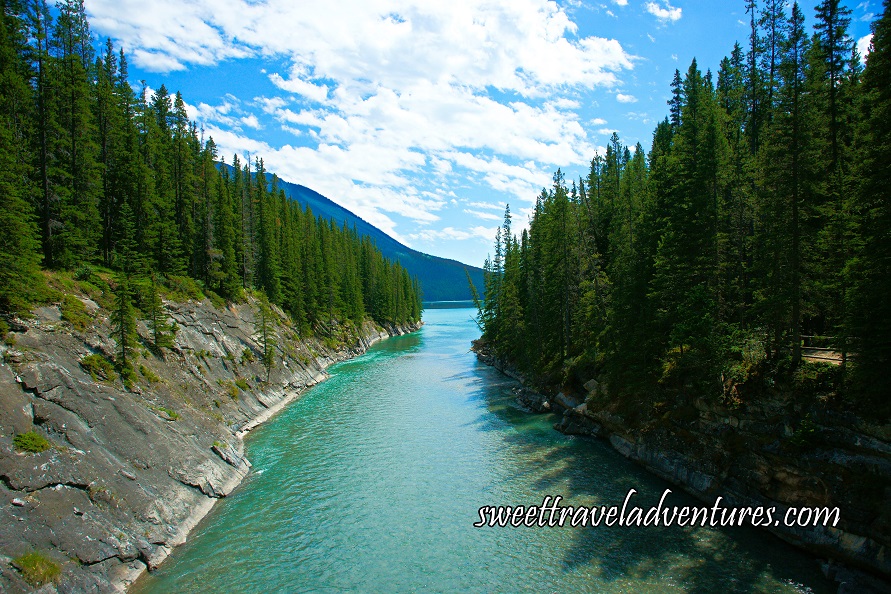 An acqua coloured river flowing through the center with a rocky shoreline and evergreen forest on both the right and left and a blue sky filled with very large white fluffy clouds