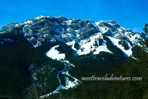 Blue sky with a large snow covered mountain with green trees cleared in some areas for ski trails