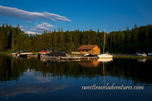 Small marina with boats with tall trees behind it and a blue sky with a few fluffy white clouds reflected on the water