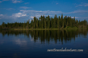 The grassy shore lined with trees and blue sky with large fluffy white clouds all reflected on the rippled water