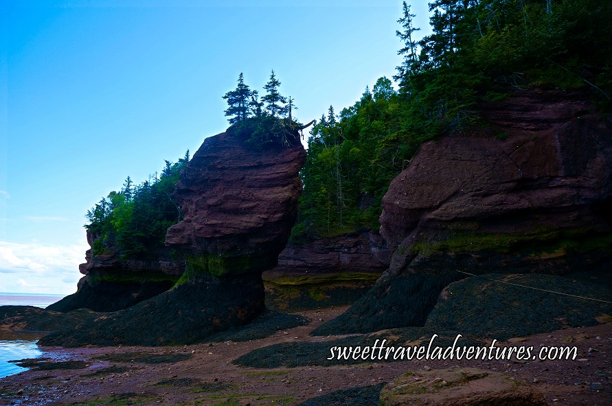 Giant Red-Brown Rocks With Green Trees Growing Out of the Top of the Rocks and a Blue Sky