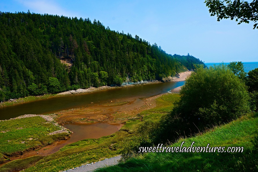 Blue Sky With River Flowing Into the Ocean on the Right Side of the Picture, On the Left Side of the River is a Hill Covered in Green Trees, On the Right Side of the River is Green Grass, Then a Narrow Paved Pathway, Then Green Bushes and Green Trees and Green Grass Sloping Upward