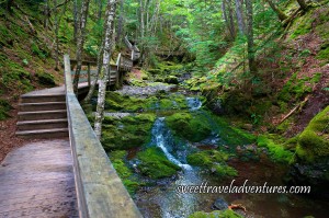A Wooden Boardwalk on the Left With 5 Steps Every Few Metres and Green Trees on Both Sides, to the Right of the Boardwalk is a Brook With a Gradual Decline and Large Moss Covered Rocks, to the Right is a Steep Incline With Green Trees
