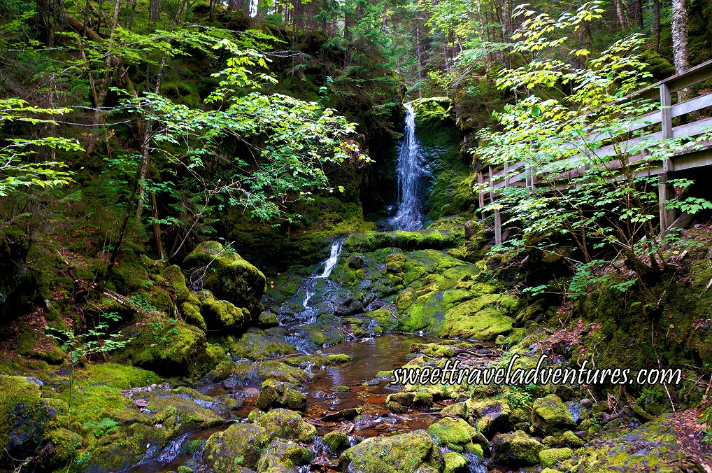 The wondrous views from Fundy National Park in Alma New Brunswick