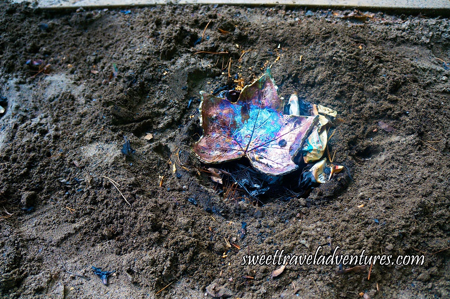 Shiny Blue, Rose, and Gold Metallic Coloured Maple Leaf Shaped Dish With Newspaper Under it, Laying in a Brown Dirt