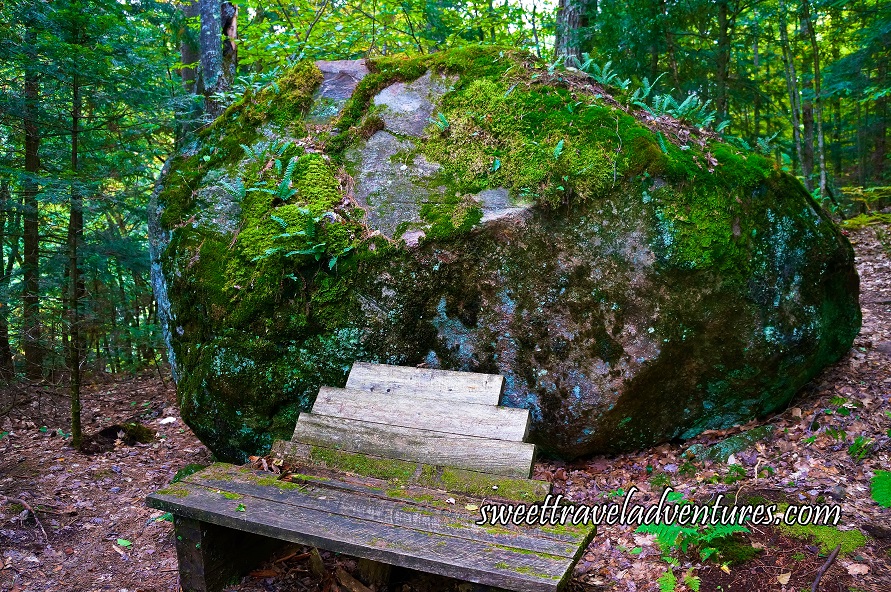 Gigantic Rock Almost Completely Covered in Moss and a Few Small Green Plants, A Wooden Bench in Front of the Rock, Green Trees Behind the Rock, and the Ground Has a Few Yellow Leaves