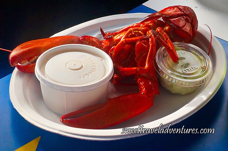 A Cooked Lobster on a Paper Plate With a Small Round Clear Plastic Container Holding Coleslaw on the Right and a Slightly Larger Round White Plastic Container on the Left 