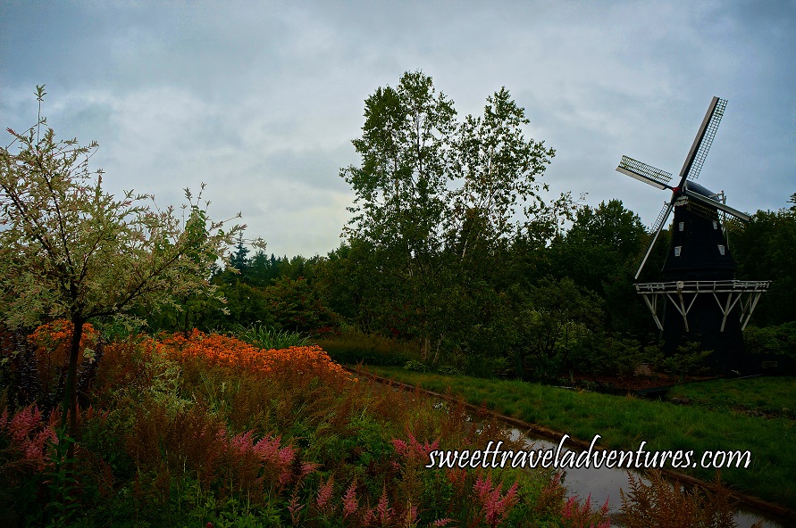 On the Right is a Black and White Dutch Windmill With Green Grass, Green Shrubs, Green Trees Beside and Behind it, On the Left is Pink, Orange, and Green Plants and a Tree With White Leaves
