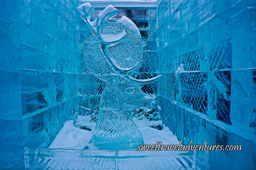 An Ice Sculpture of a Head of a Deer and Antlers With Ice Walls on Two Sides and Behind it