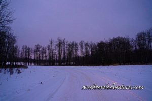 A Snowy Road Going Straight and Curving to the Left With Snow and Bare Trees on Either Side and In Front and a Light Purple/Blueish Sky