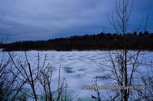 A Frozen River With a Few Bare Branches in Front, in the Background Many Trees and a House Elevated on a Hill, and a Cloudy Blue Sky